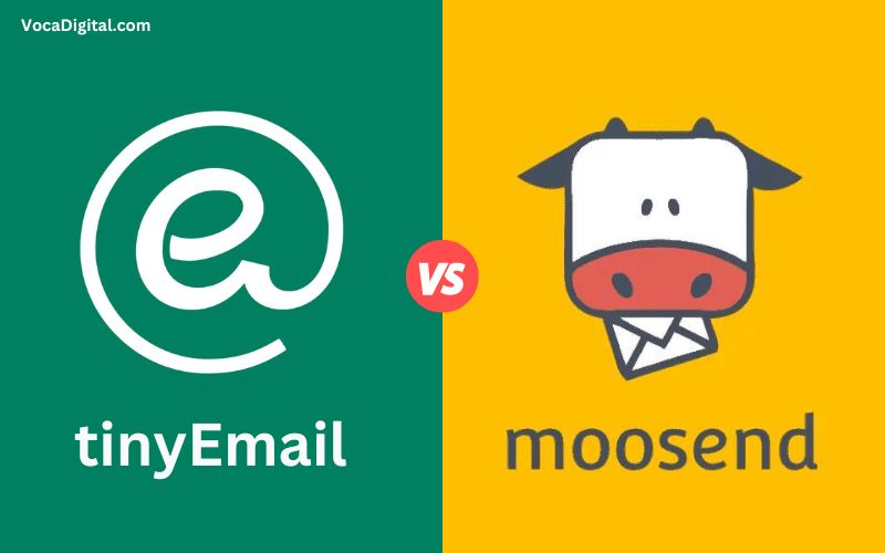 Moosend vs tinyEmail